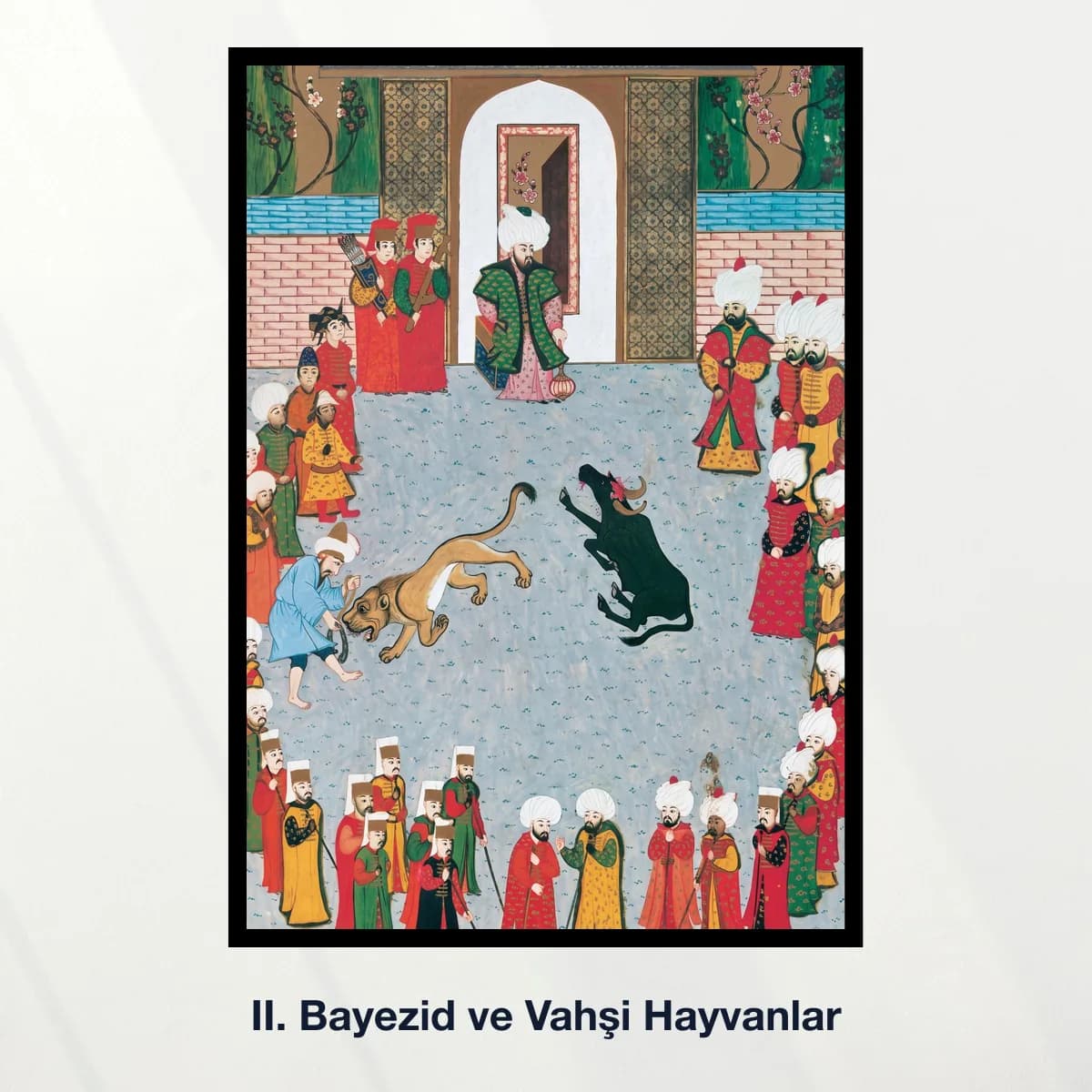 II. Bayezid ve Vahşi Hayvanlar